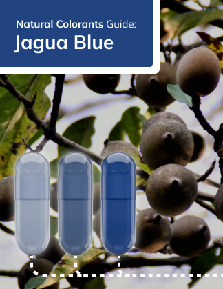 Natural Colorant - Jagua Blue
