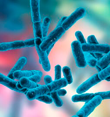 capsule delivery for probiotics frontpage