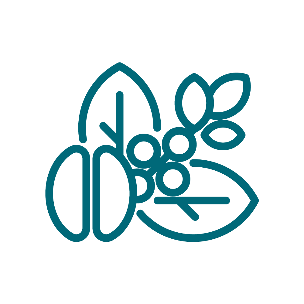 Icon-kcaps-delayed-3